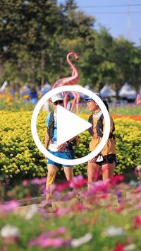 BIB:  <button type="button" onclick="openModal(27588582)" class="btn btn-primary btn-sm float-right" data-toggle="modal" data-target=".modal-high-quality">
                <i class="fa fa-download"></i> Download
                </button>